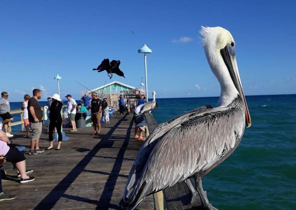 Fort Lauderdale Guest House エクステリア 写真